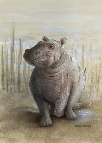 Happy Hippo