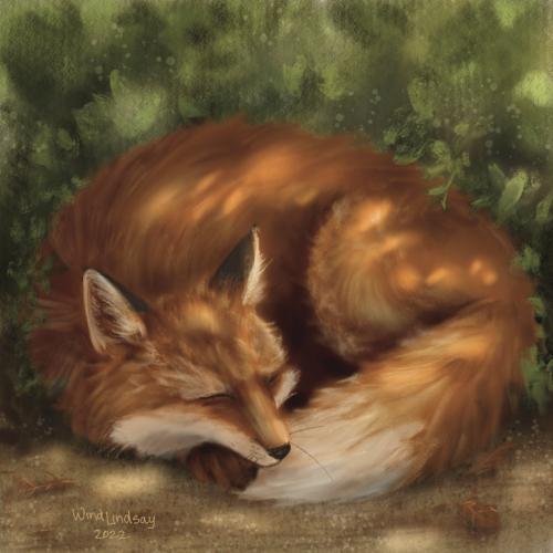 fox-illustration