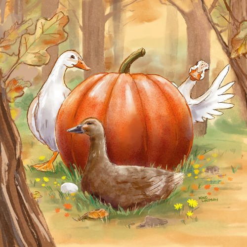 Pumpkin-Ducks-w