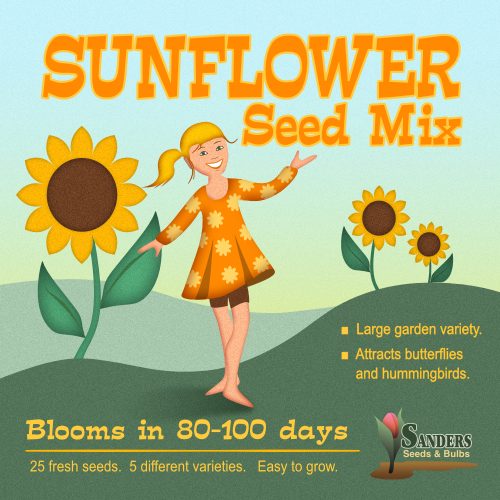 Packaging and Illustration