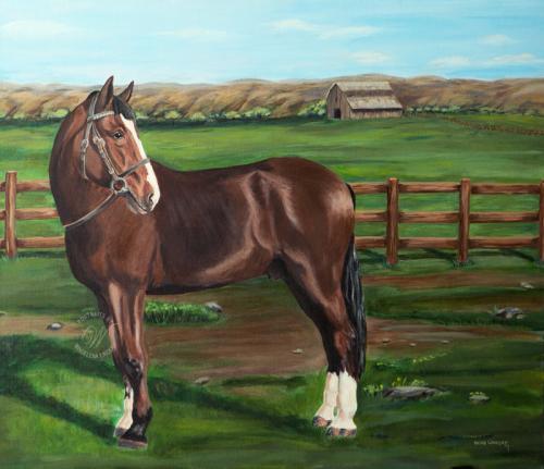 Horse Acrylic Painting
